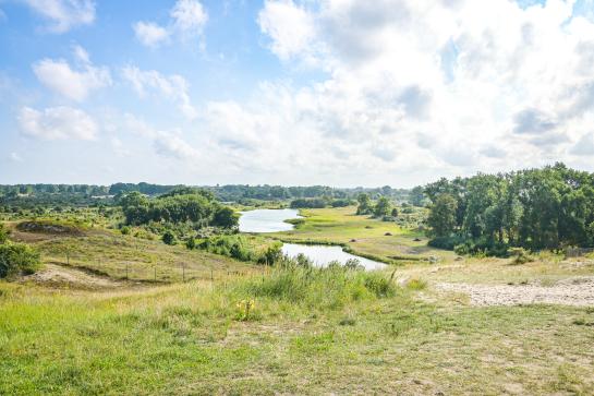 Uitzicht over de natuur vanop de Hoge Blekker